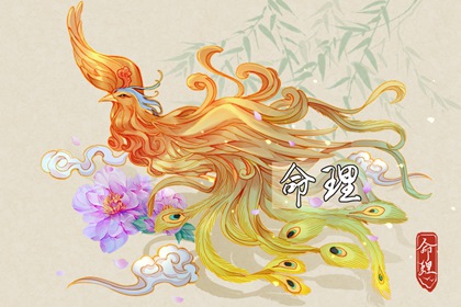 宜忌黄历_今日通胜黄历_老黄历吉日吉时辰查询_老黄历看日子