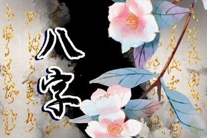 命宫、身宫与胎元