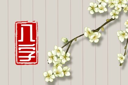 数字化排盘时代