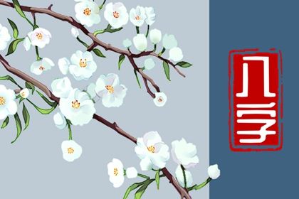 命宫、身宫与胎元