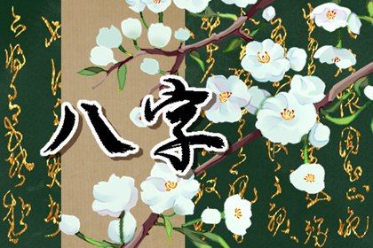 八字水木相生 福堂八字排盘 八字行年起法 算八字排盘