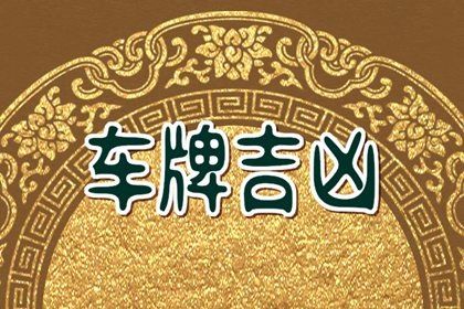 在线号码查询怎么看
