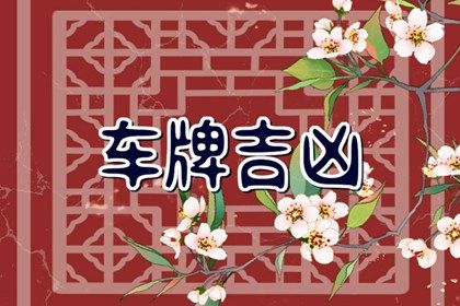 数字化号码参考用法