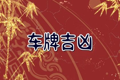 数理分如何理解