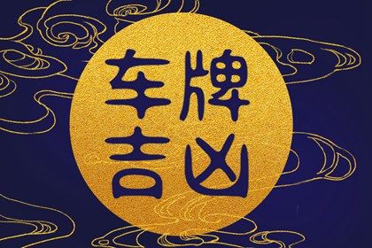 数理分如何理解