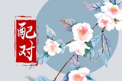 自由恋爱时代的合婚