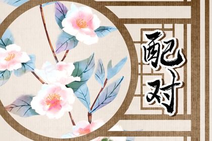 三合六合六冲在生活中的投射