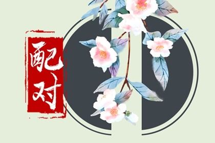 流年合婚：动态视角