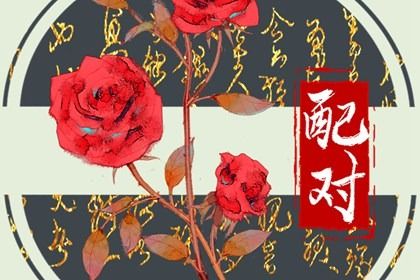 生肖三合、六合与六冲