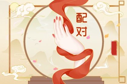 理想对象类型