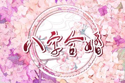 易百查紫薇排盘_紫薇文墨天机排盘_命盘显示夫妻变动