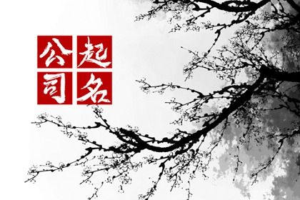 公司名与商标