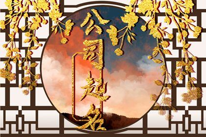 公司起名通则