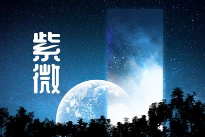 在线排盘看什么