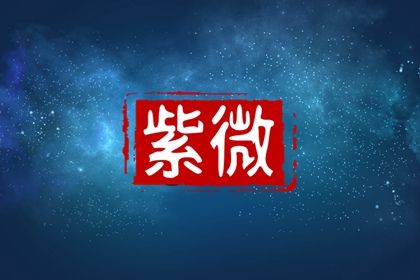 如何读本页结果