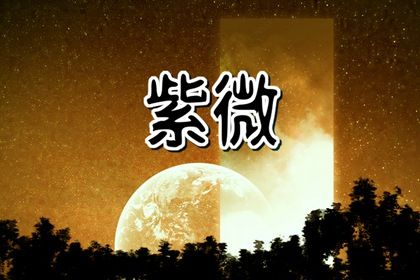 十二宫结构