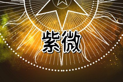 紫微斗数是什么