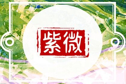 数字化紫微参考用法